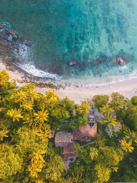 A scenic tropical resort surrounded by palm trees and ocean.