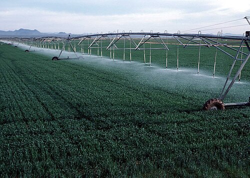 agriculture