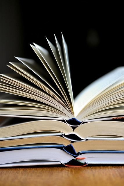 paperback