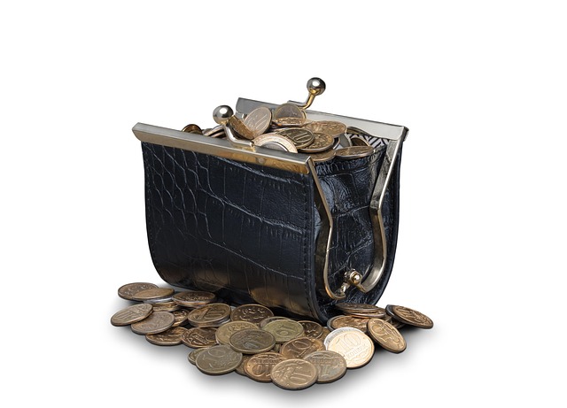 purse