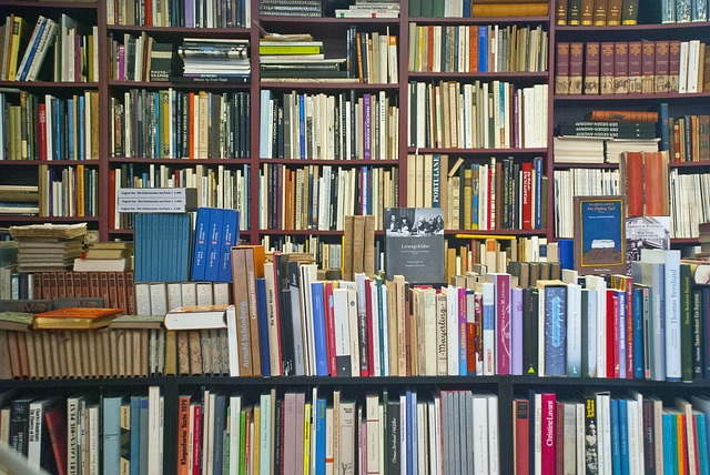 bibliography