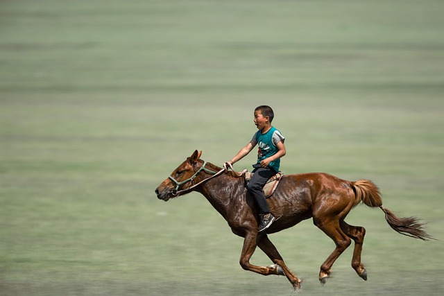 horse riding
