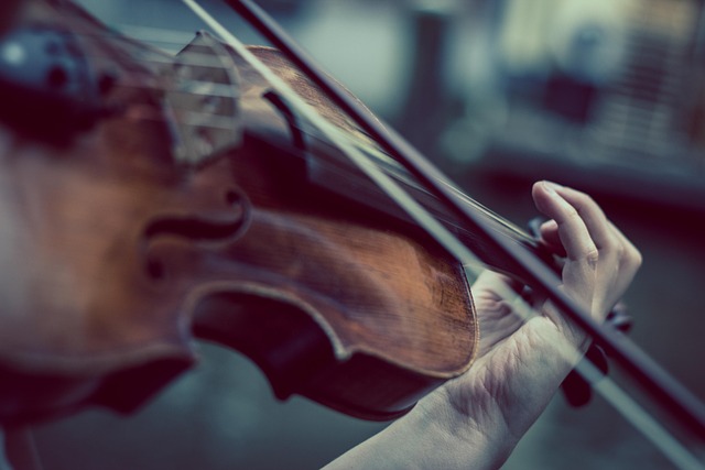 play the violin