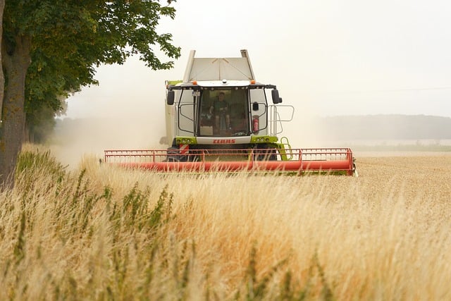 combine harvester