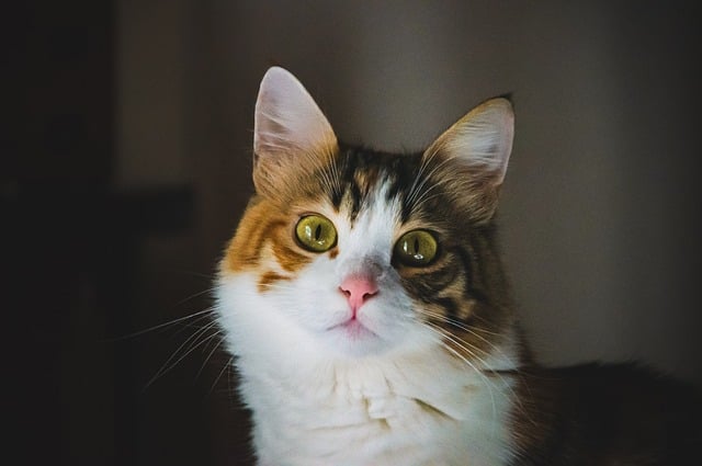 cute