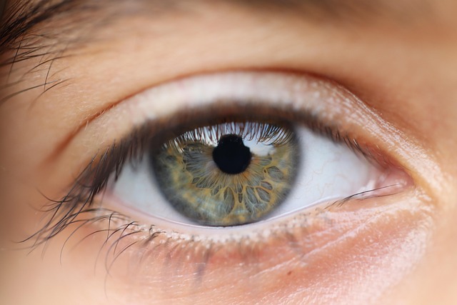 eye