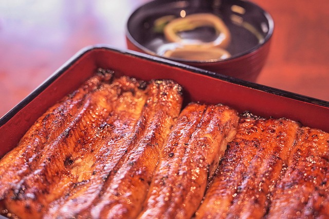 eel