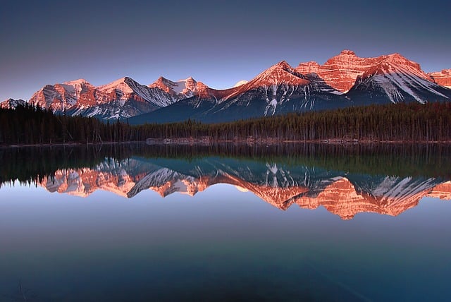 reflection