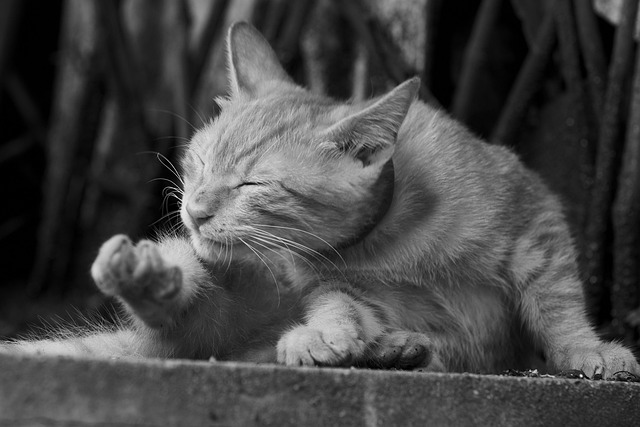 itchy