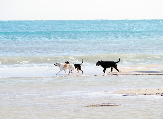 walk on the beach
