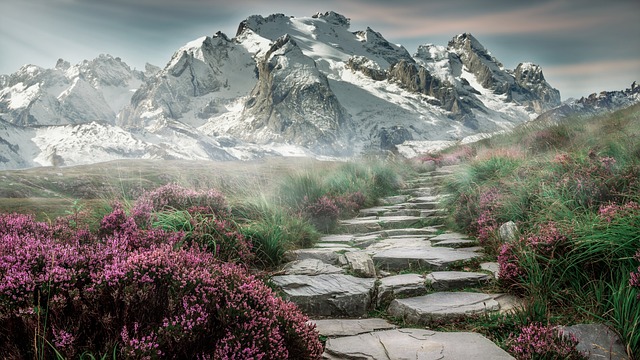 stairs