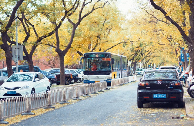 boulevard
