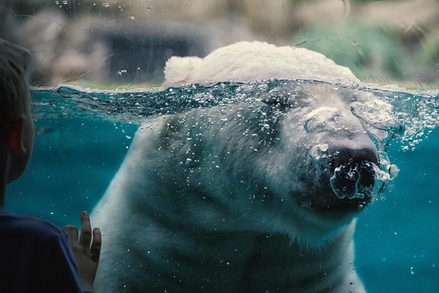 captivity