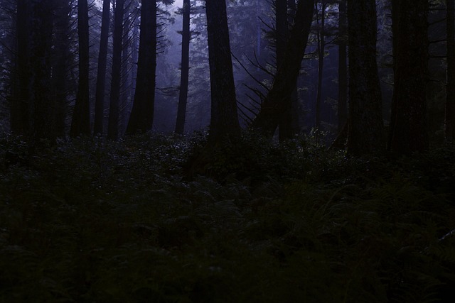 midnight