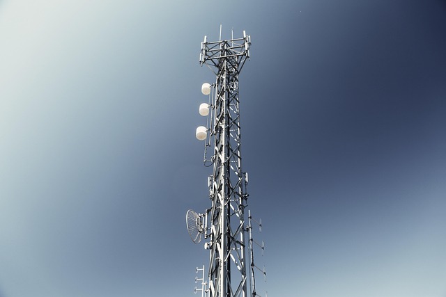 transmit