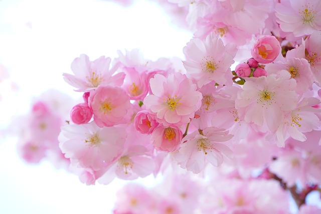 delicately