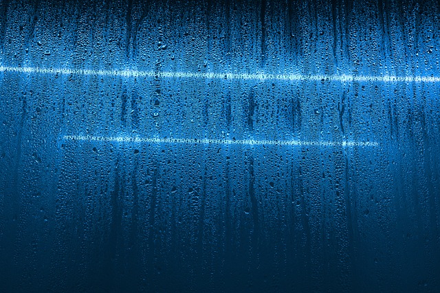 humid