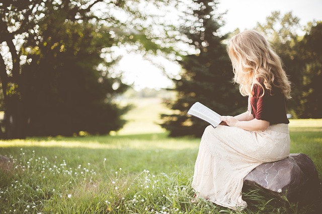 reader