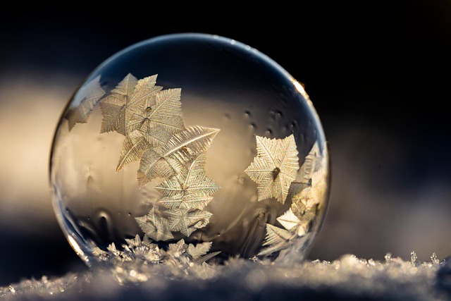 freeze