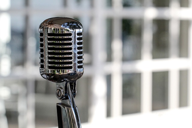 voice