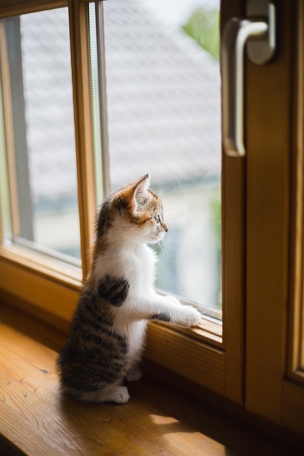 scratch
