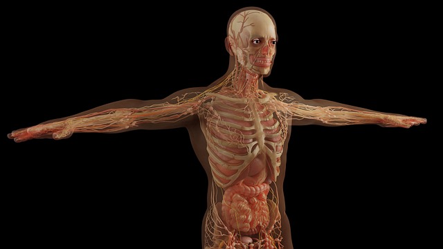 physiological