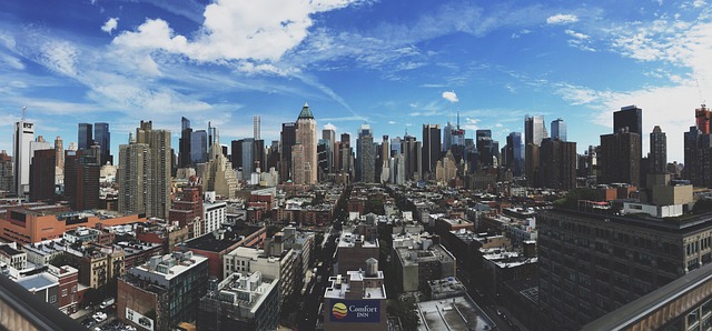 concrete jungle