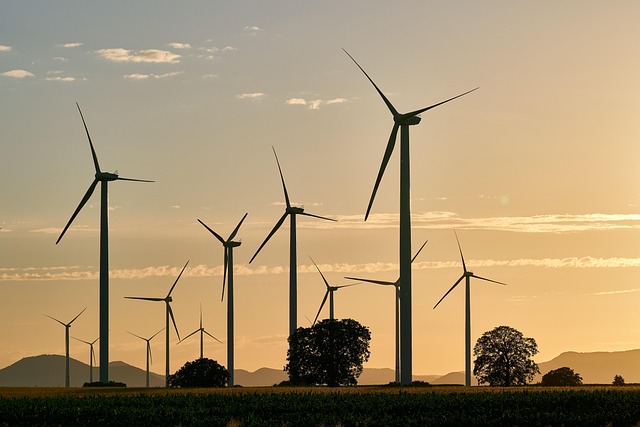 non-renewable
