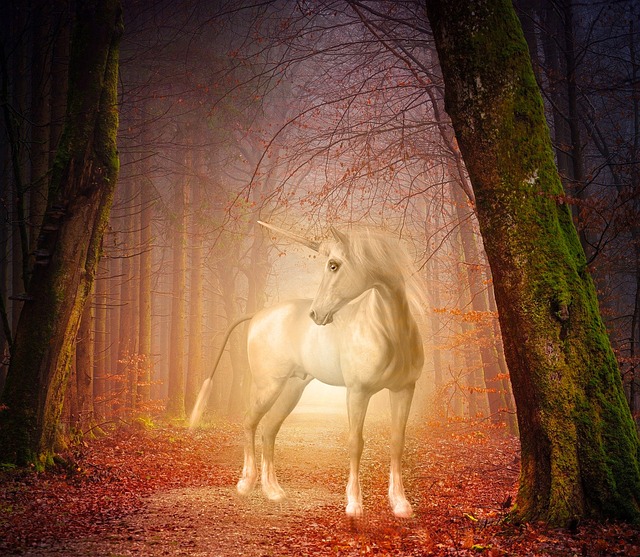 unicorn