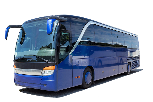 bus