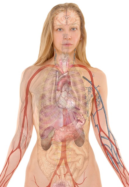 respiratory