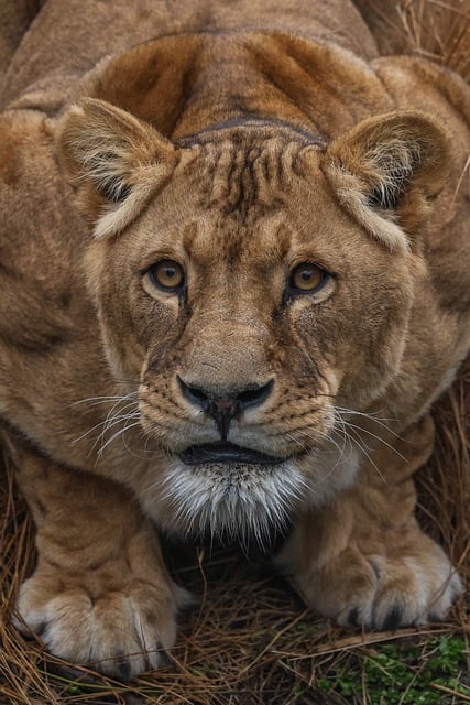 fearless