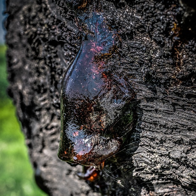 leakage