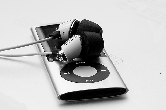 portable music player