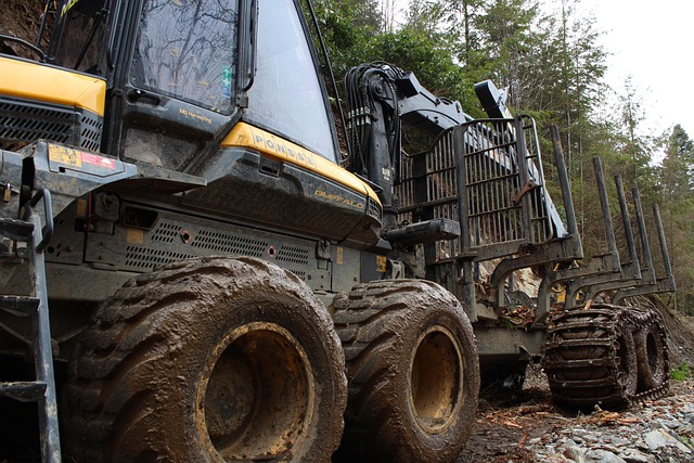 forwarder