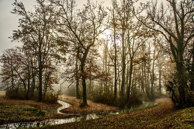foggy