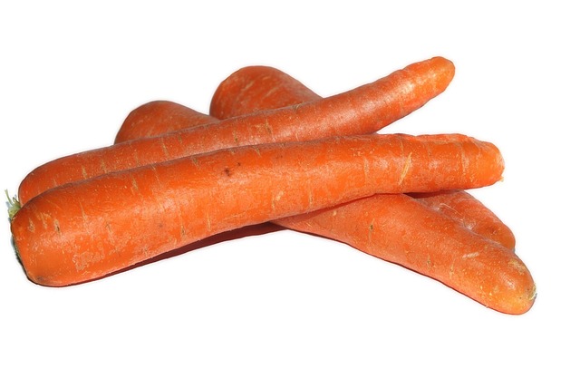 carrot