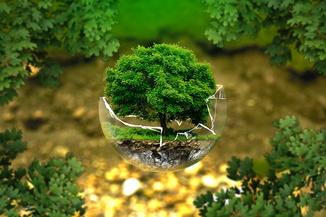 ecological balance