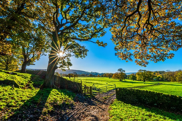 farm