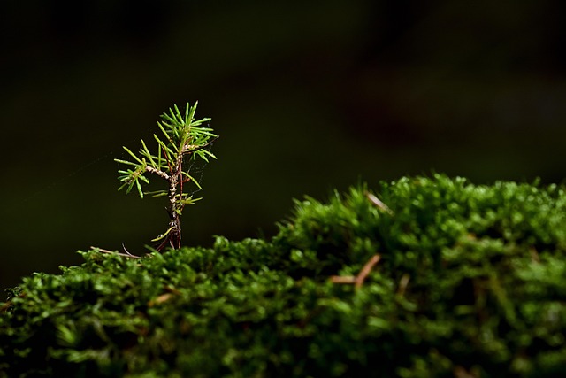 grow