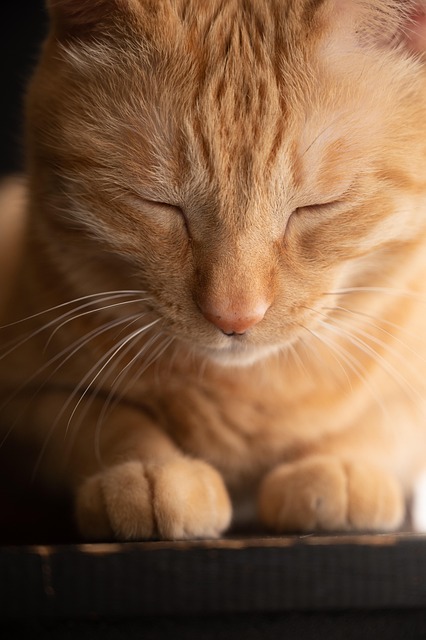 sleepy