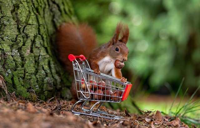 do the shopping