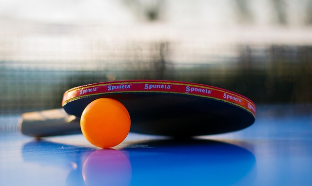 play table tennis