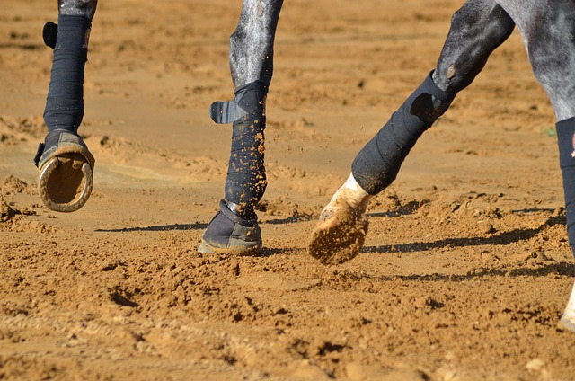 stride