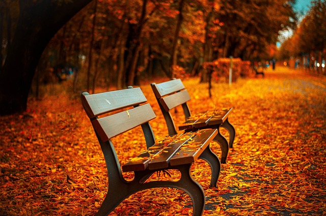 bench