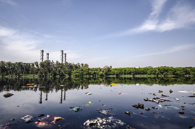 polluted