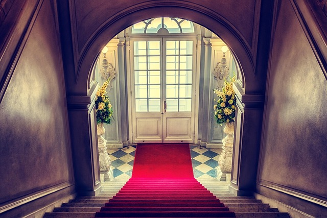 carpet