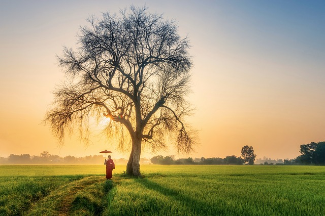 viet nam