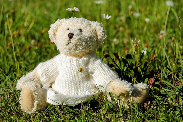 teddy bear