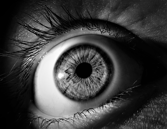 pupil